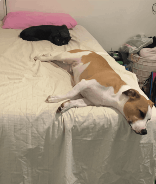 BareEarth Bed Sheets user Atena S.